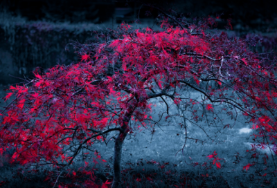 ​心情期待的句子唯美(精选52句)