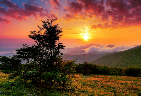 1706901939807190.png image.png