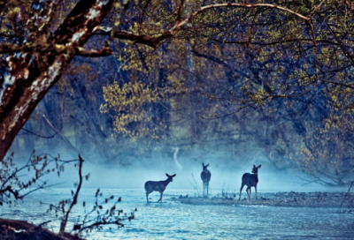 ​绕口令：石、斯、施、史四老师
