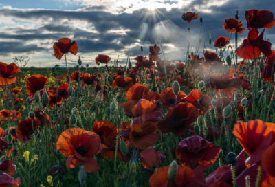 ​儿童数学绕口令