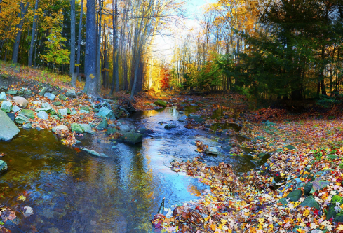 1706908411738898.png image.png