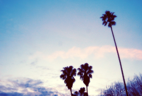 1706908909787094.png image.png