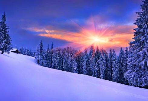 1706912062981081.png image.png