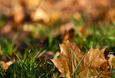 ​少儿趣味绕口令