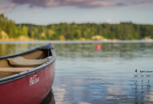 1706913057963051.png image.png