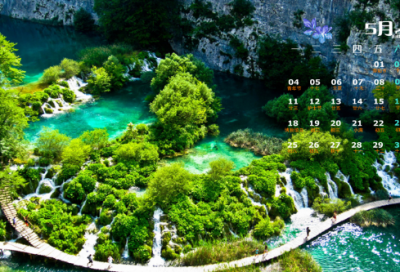 ​动物绕口令:狗