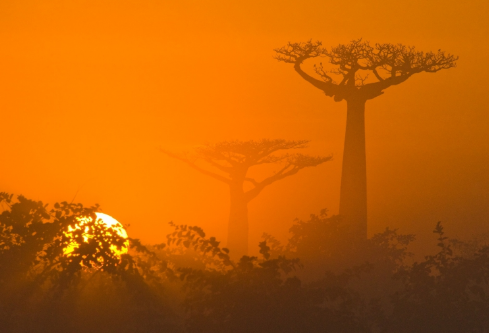 1706919695115329.png image.png