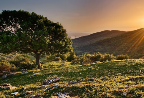 1706920690743976.png image.png