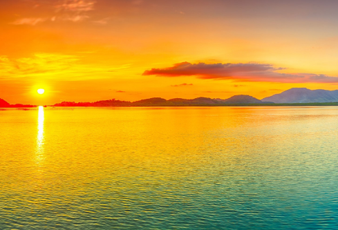 1706921188518446.png image.png