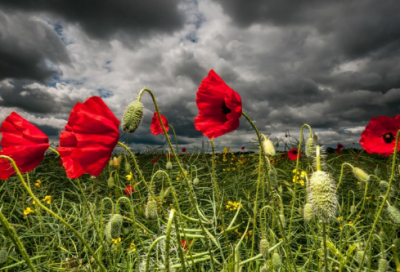 ​普通话绕口令：包边满和彭明平编壁报办板报普通话绕口令
