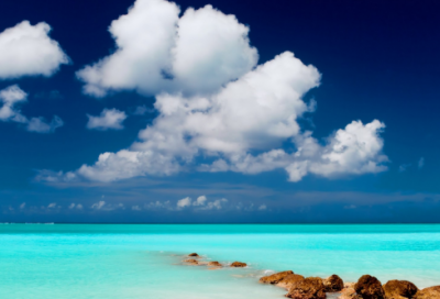 ​哑子和瞎子的儿子