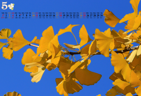 1706927989804565.png image.png