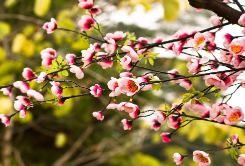 1706931472101813.png image.png