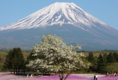 ​普通话绕口令：骆驼驮磨