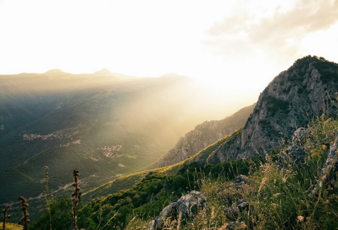 1706945409850135.png image.png