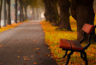 ​弯弯丘斑斑鸠