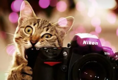 ​提灯笼绕口令例句