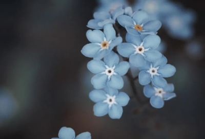 ​崔粗腿和崔腿粗绕口令