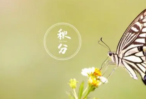 1706964653781930.png image.png