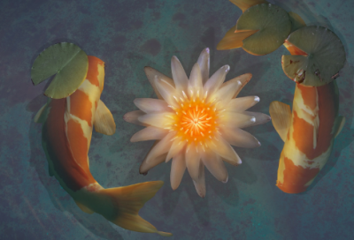 ​男旅客女旅客