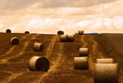 ​小郭和小葛绕口令