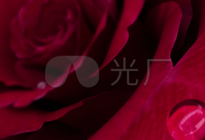 ​盆和瓶绕口令