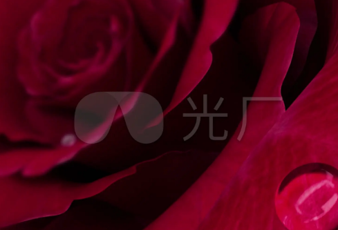 1706973615117055.png image.png