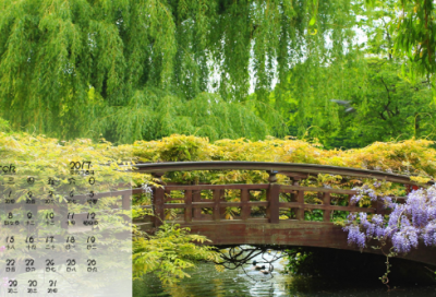 ​儿童绕口令：《数星星》