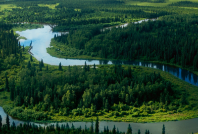 ​儿童绕口令：《分果果1》