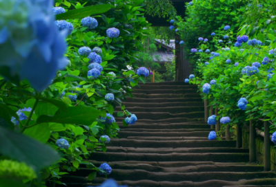 ​广东话绕口令