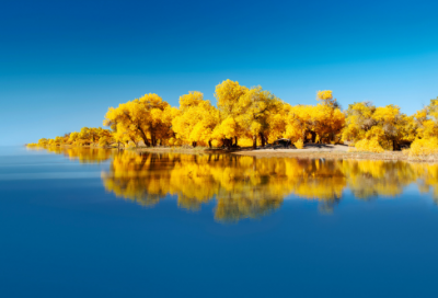 ​失眠怎么发朋友圈(优秀70句)