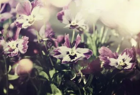 1712002488103745.png image.png