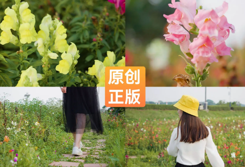 1712004489497232.png image.png