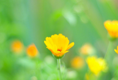 ​党风廉政警示格言(推荐80句)