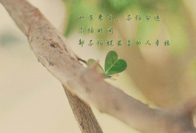 ​好的qq个性签名【总共82句】