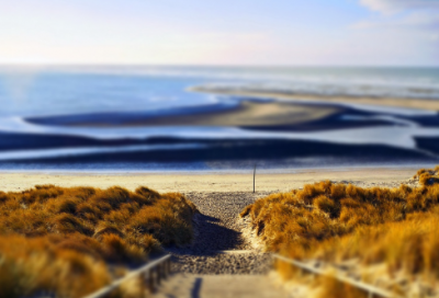 ​家长感谢老师的朴实话45句