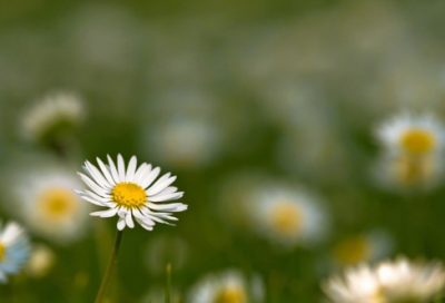 ​清明祭英烈留言寄语(热门57句)