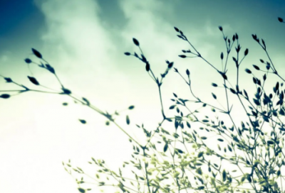 ​六一手抄报内容简短,六一手抄报内容简短200字(共97句)