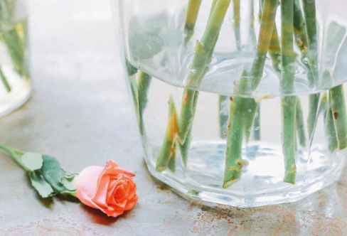 1712011157681623.png image.png