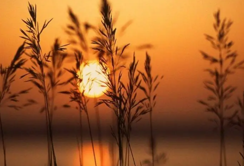 1712013658124305.png image.png