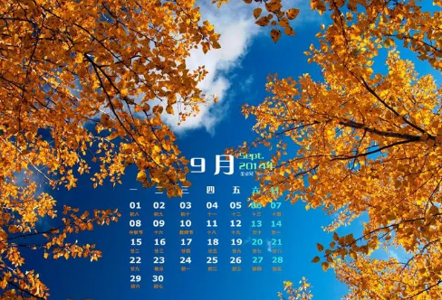 1712017492513799.png image.png