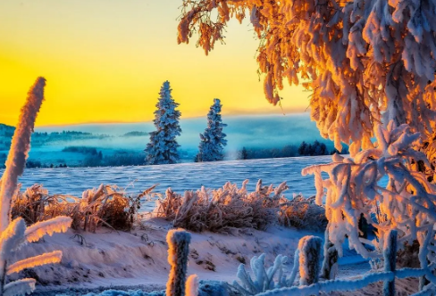 1712017659239342.png image.png