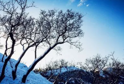 1712017826128518.png image.png