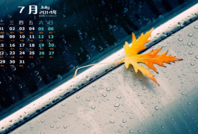 ​夸夸我的班主任（我的班主任作文600字）