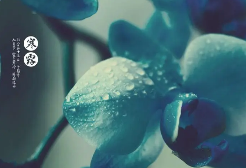 1712019327336594.png image.png