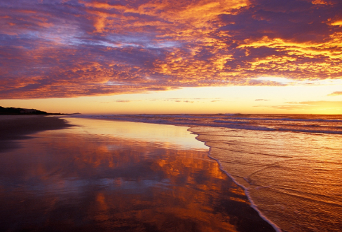 1712025162279491.png image.png