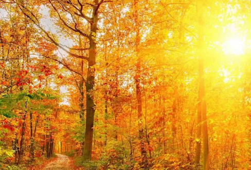 1712025495124391.png image.png