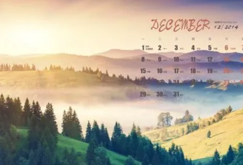 1712031331119060.png image.png