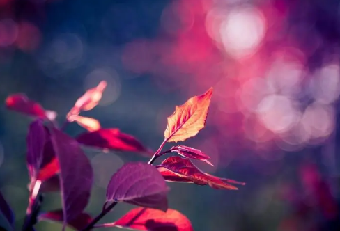 1712031831136871.png image.png