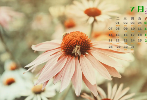 1712031998821691.png image.png